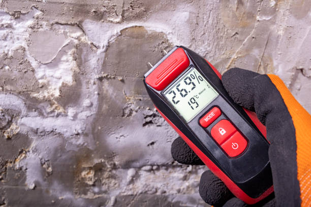 Certified Mold Removal in Bound Brook, NJ